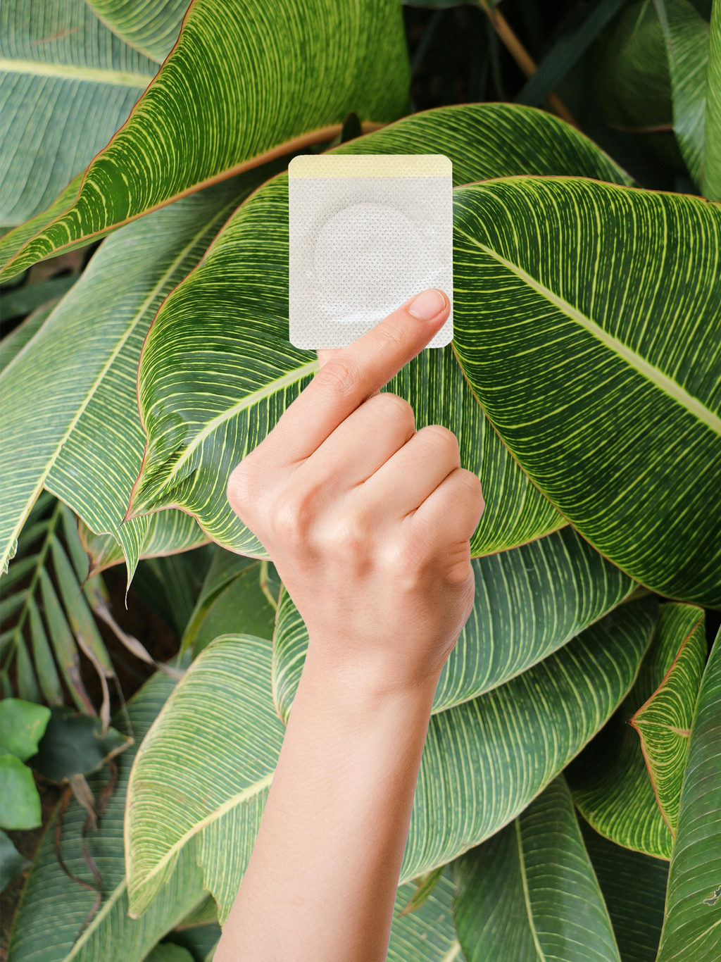 Detox Patches – Abnehmpflaster